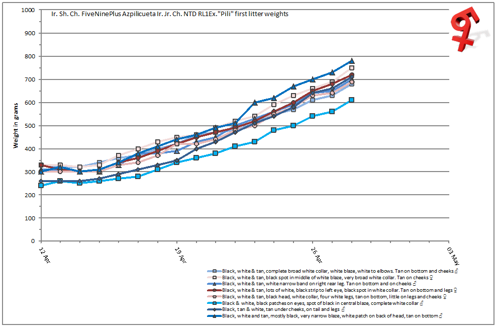 Puppy weight graph