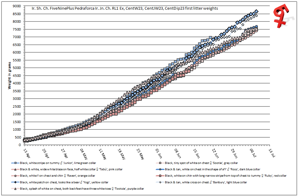 Puppy weight graph